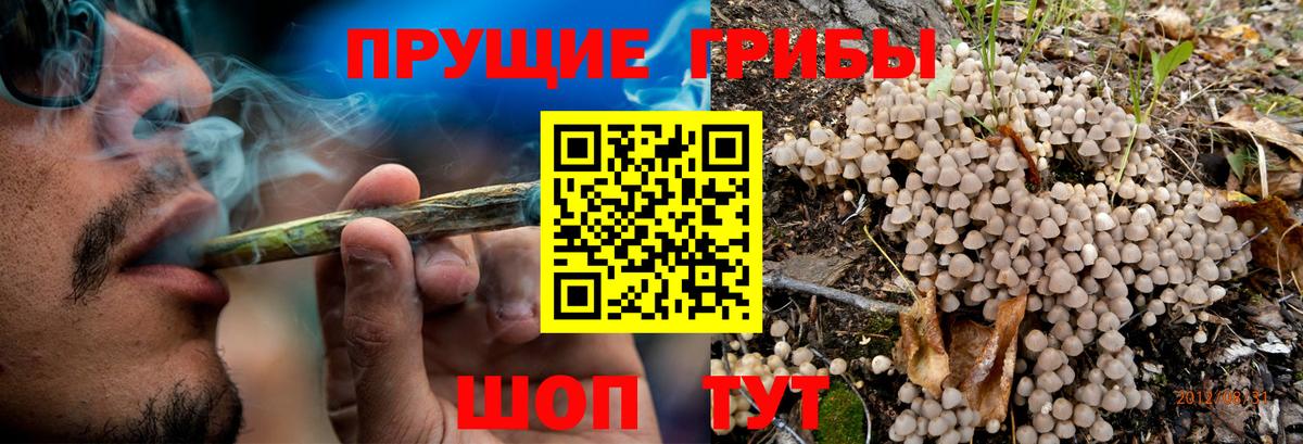 Галлюциногенные грибы мицелий Ирбит